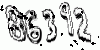 formm.captcha